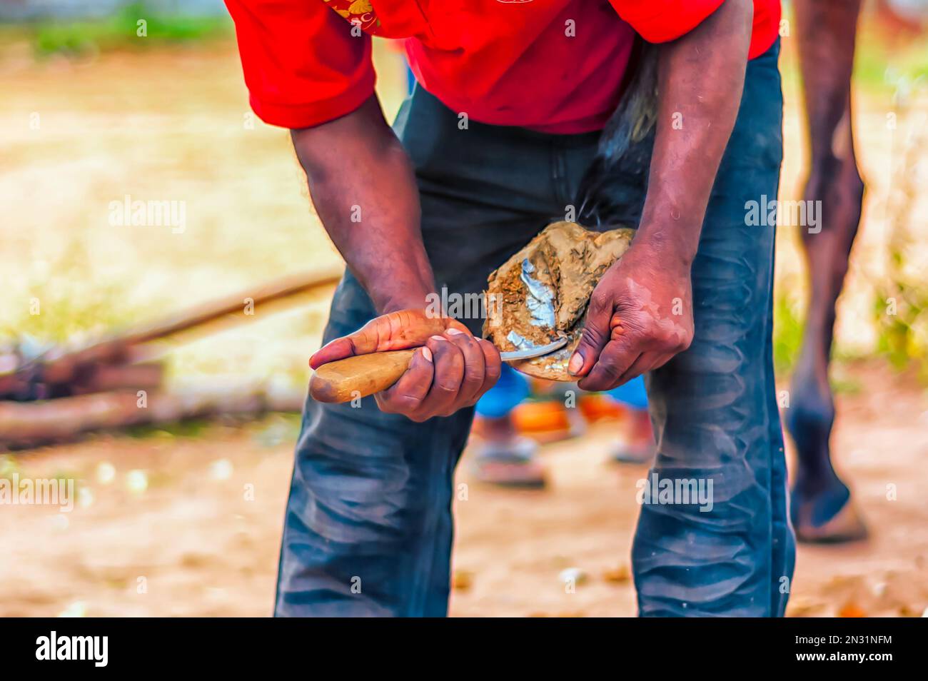 A farrier trimming the frog and the sole of a horse's hoof using a hoof knife Stock Photo Alamy