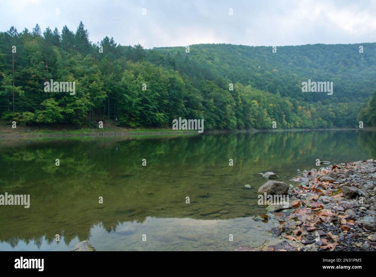 Colorful lake shore forest hi-res stock photography and images - Alamy