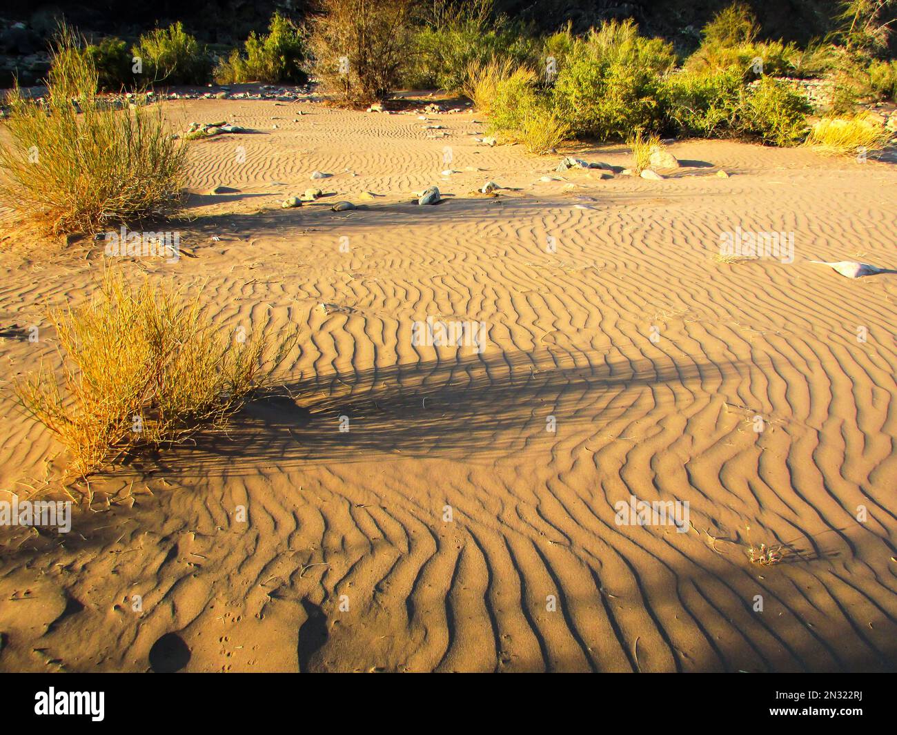 Wind ripples in the sand in the base of the Fish River Canyon, Namibia. Stock Photo