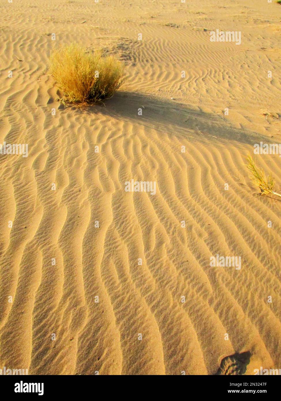 Undisturbed Wind Ripples in the sand in the early morning, in the base of the Fish River Canyon of Namibia. Stock Photo