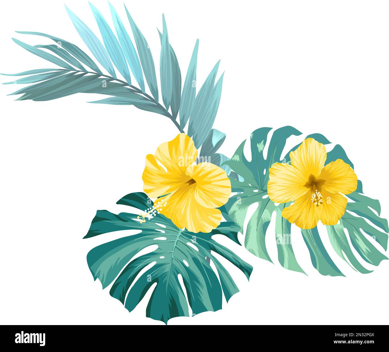 Tropical Plants, Palm Leaves And Hibiscus Flowers Illustration Stock ...