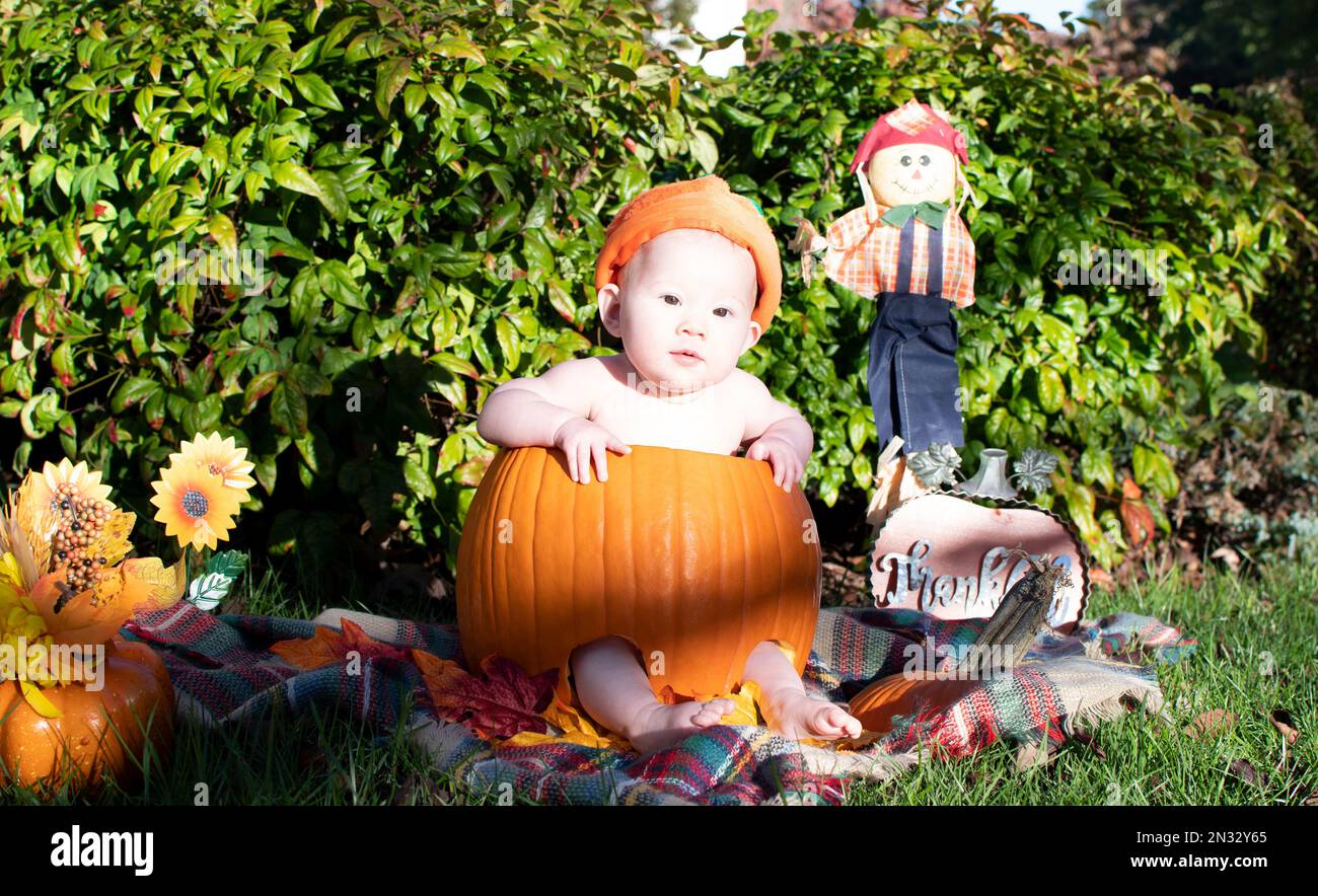 Baby in a pumpkin. First Halloween. Baby's first Halloween celebration