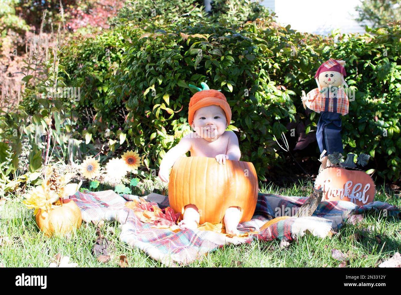 Baby in a pumpkin. First Halloween. Baby's first Halloween celebration Stock Photo