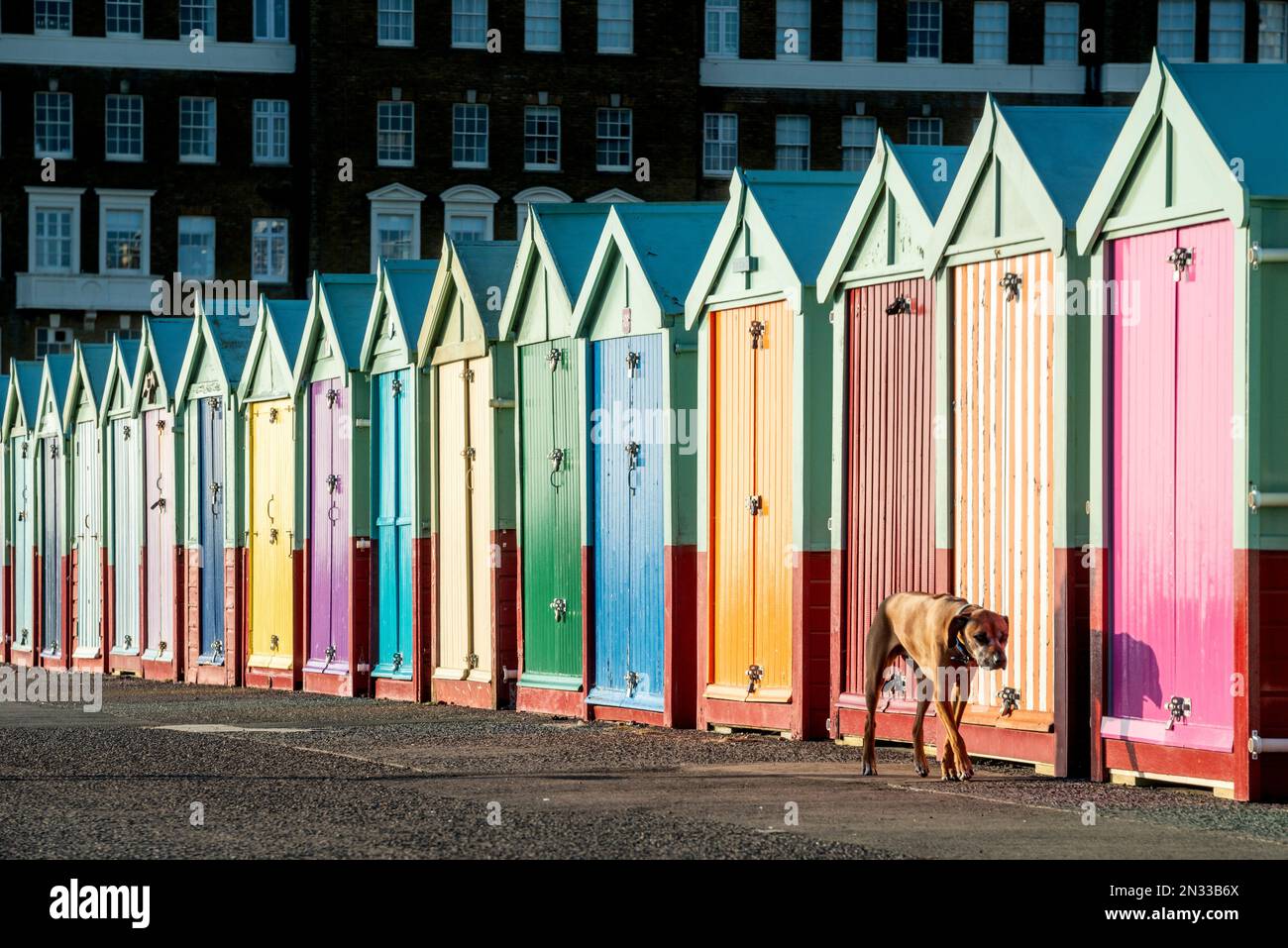 Brighton, February 7th 2023 Enjoying the late afternoon winter sun by