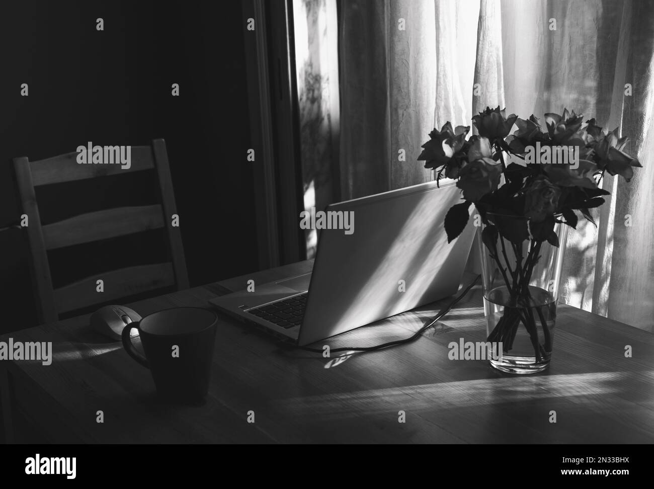 Simple candid workplace at home with laptop computer in sunset light. Remote working from home in comfortable working environment. Black white Stock Photo