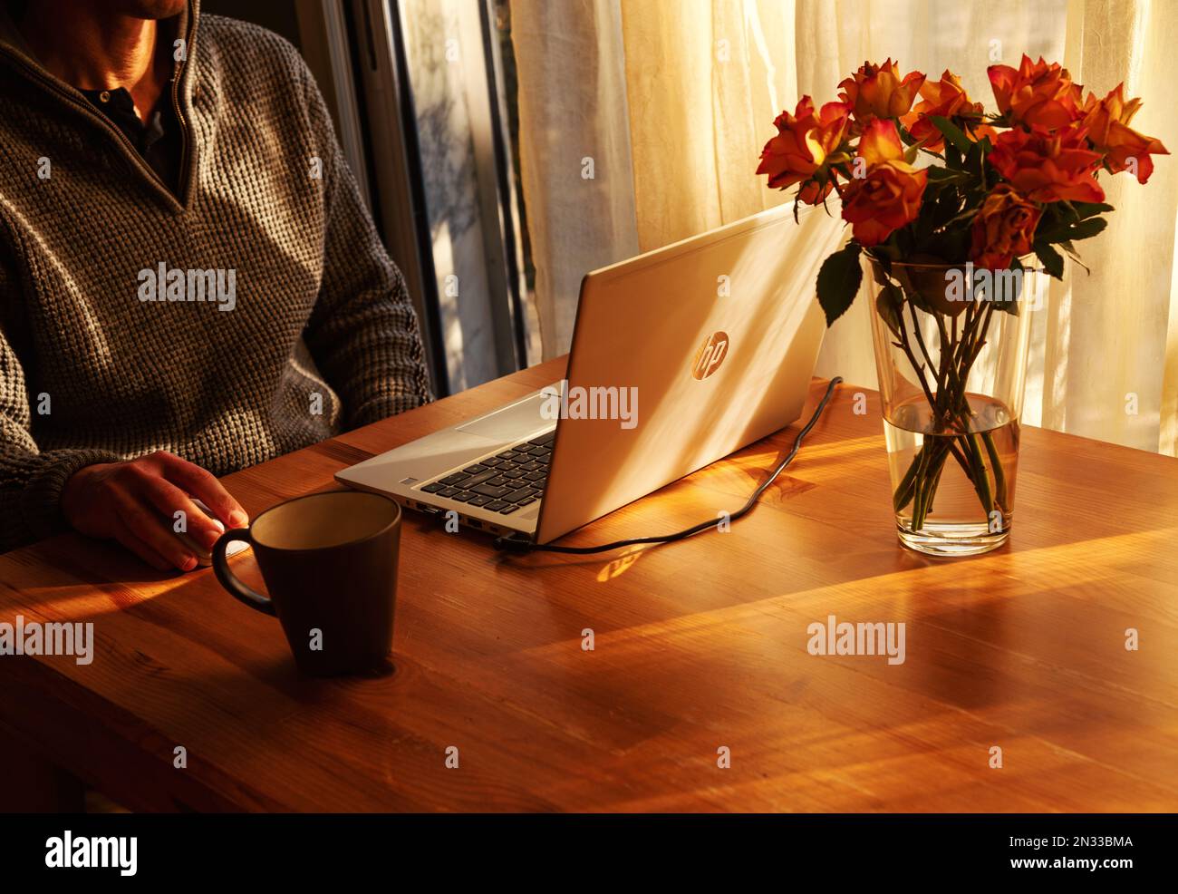 Paris, France - February 9, 2022: Man working from home at simple workplace with HP laptop computer in sunset light. Remote working from home Stock Photo