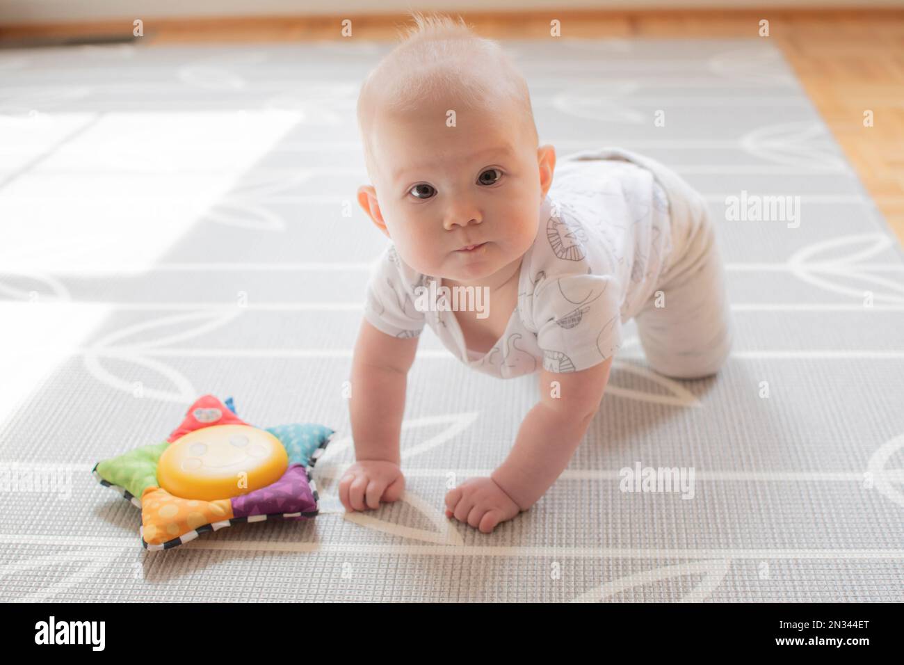 Cute little caucasian baby girl learning how to crawl Stock Photo