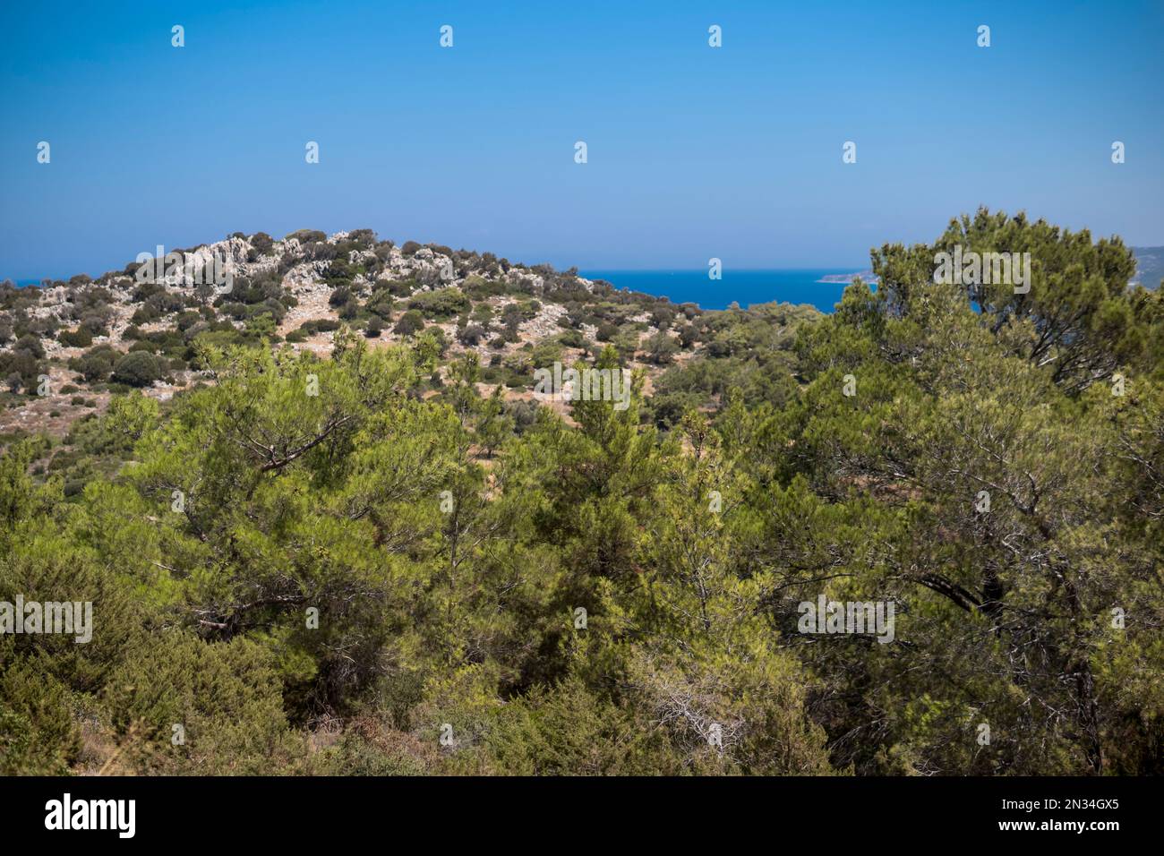 Landscape with mountains at Rhodes island with mediterranean flora Stock Photo