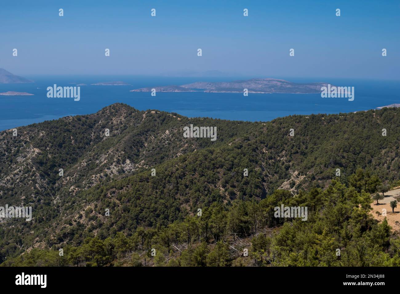 Landscape with mountains at Rhodes island with mediterranean flora Stock Photo