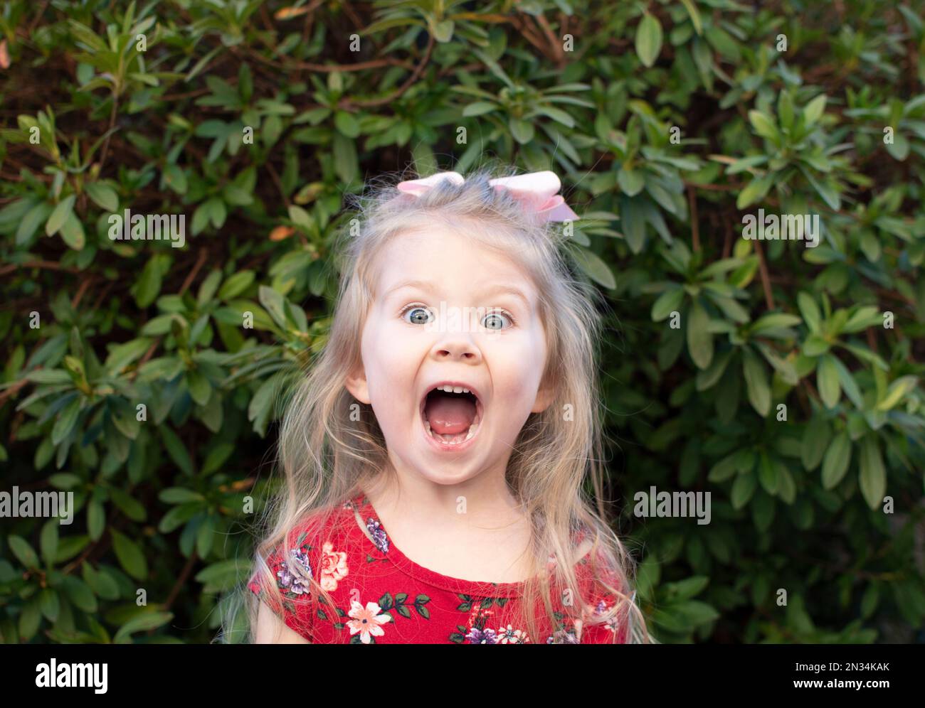 Excited little girl's facial expression. Emotional child Stock Photo ...