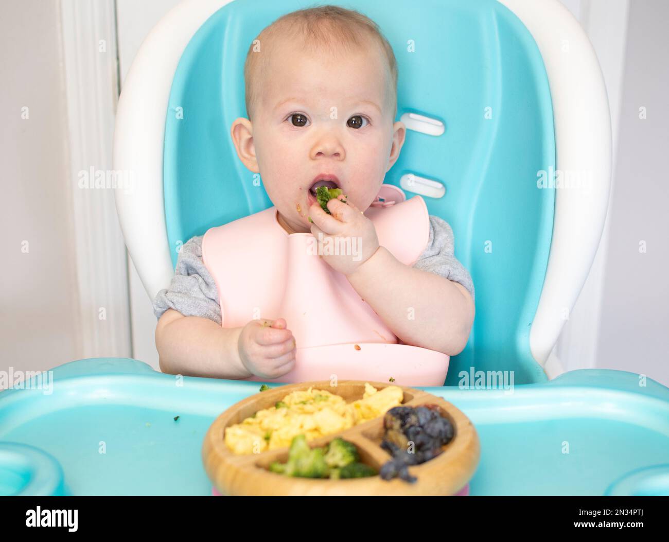Baby Eating Broccoli Baby led Weaning Weaning Healthy Eating baby-eating-broccoli-baby-led-weaning-weaning-healthy-eating