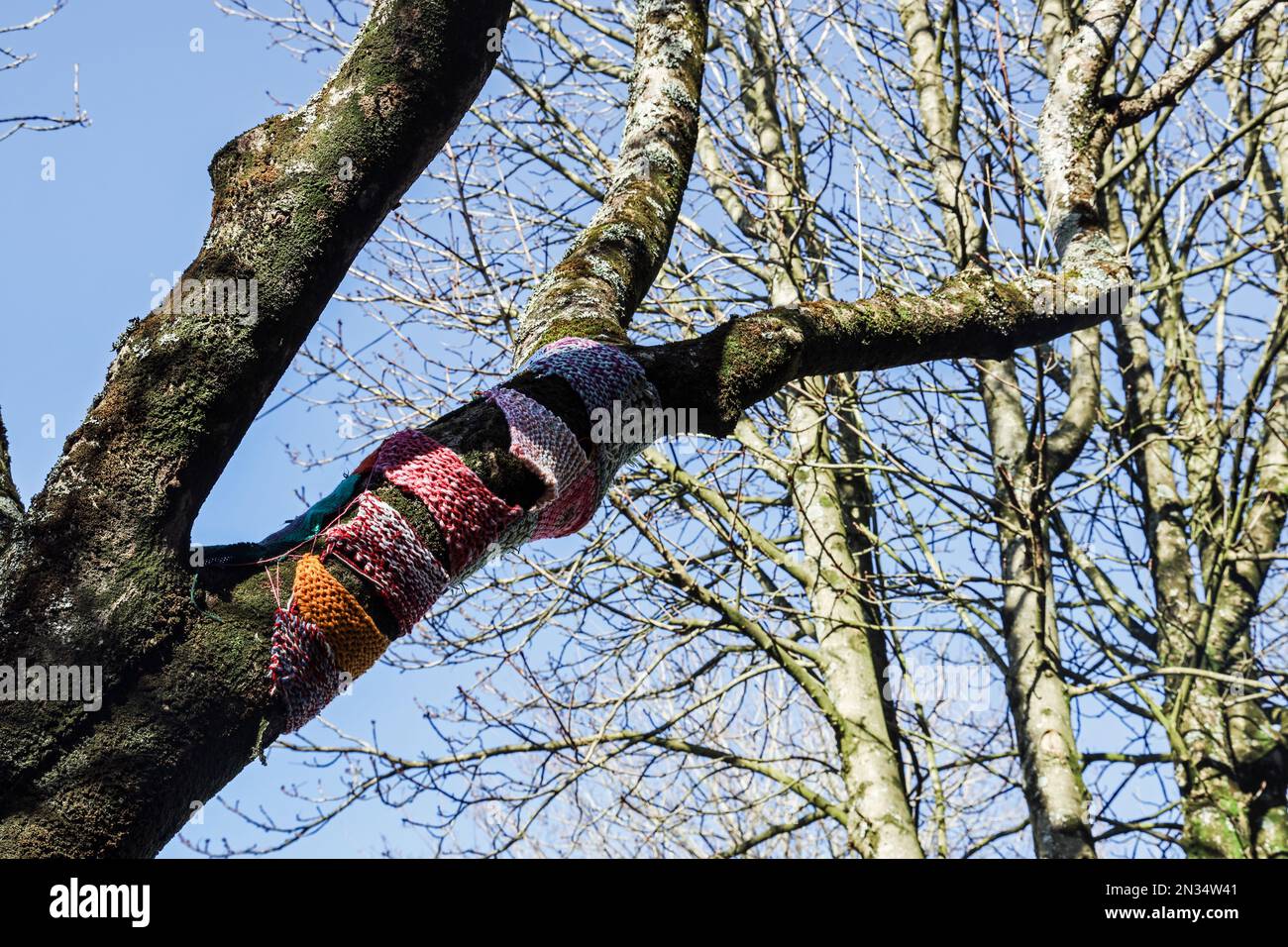 Plymouth’s Armada Way cutting through the main pedestrianised shopping centre where trees bring