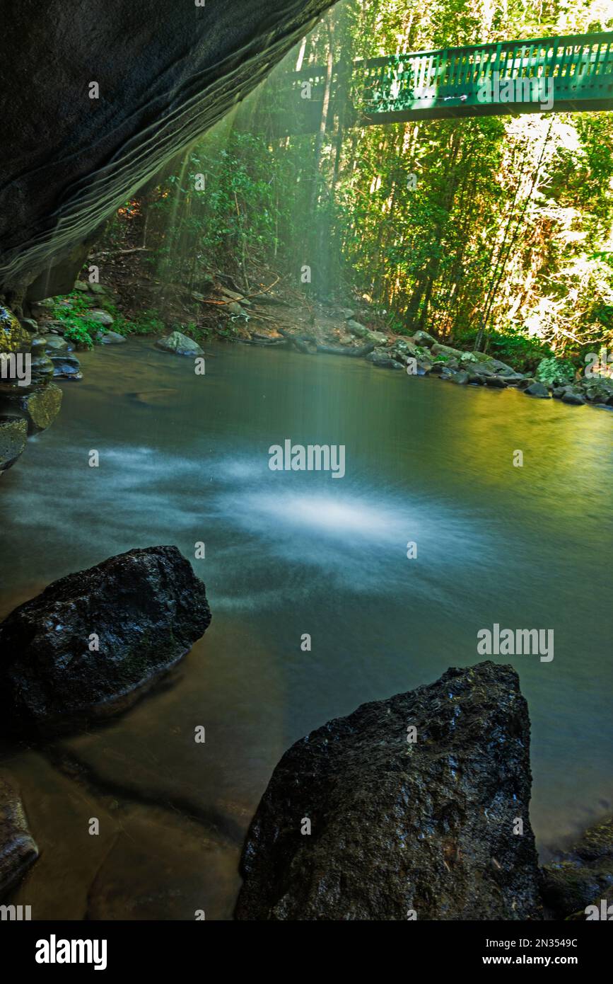 Buderim waterfalls also known as Serenity Falls is set in 45 hectares