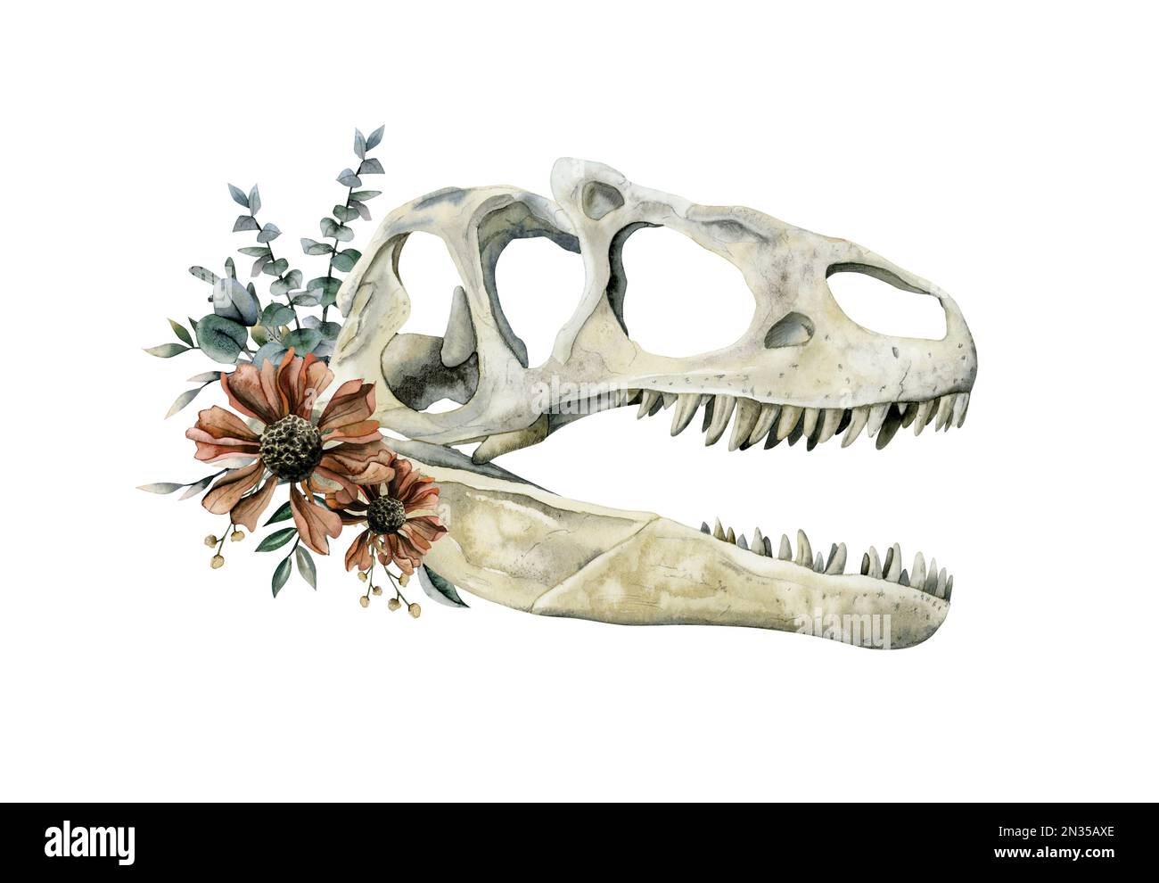 Tyrannosaurus Rex skull with red flowers and eucalyptus branches watercolor illustration isolated on white background. Hand drawn realistic predatory Stock Photo