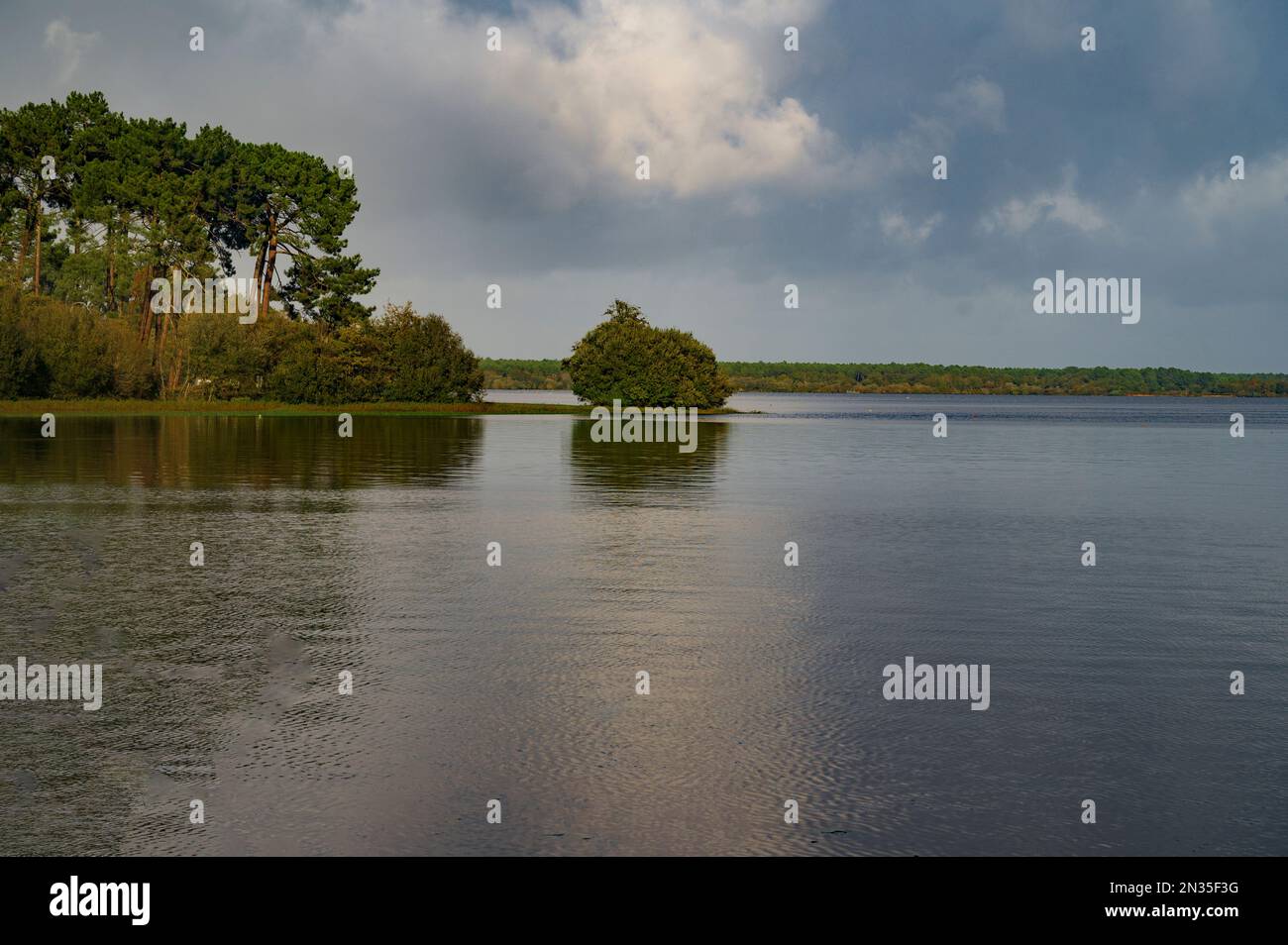 Autumn at the lakeside of the Lac de Mimizan, Mimizan, France Stock Photo