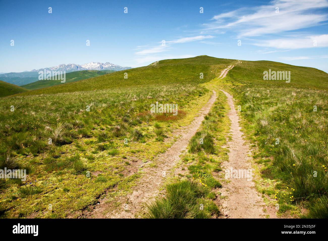 Vehicle tracks on top of a mountain Stock Photo