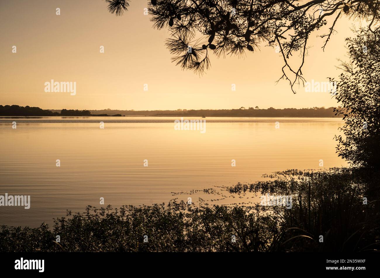 Early morning on the coastal lake Lac de Mimizan in the Landes of Nouvelle-Aquitaine, France Stock Photo