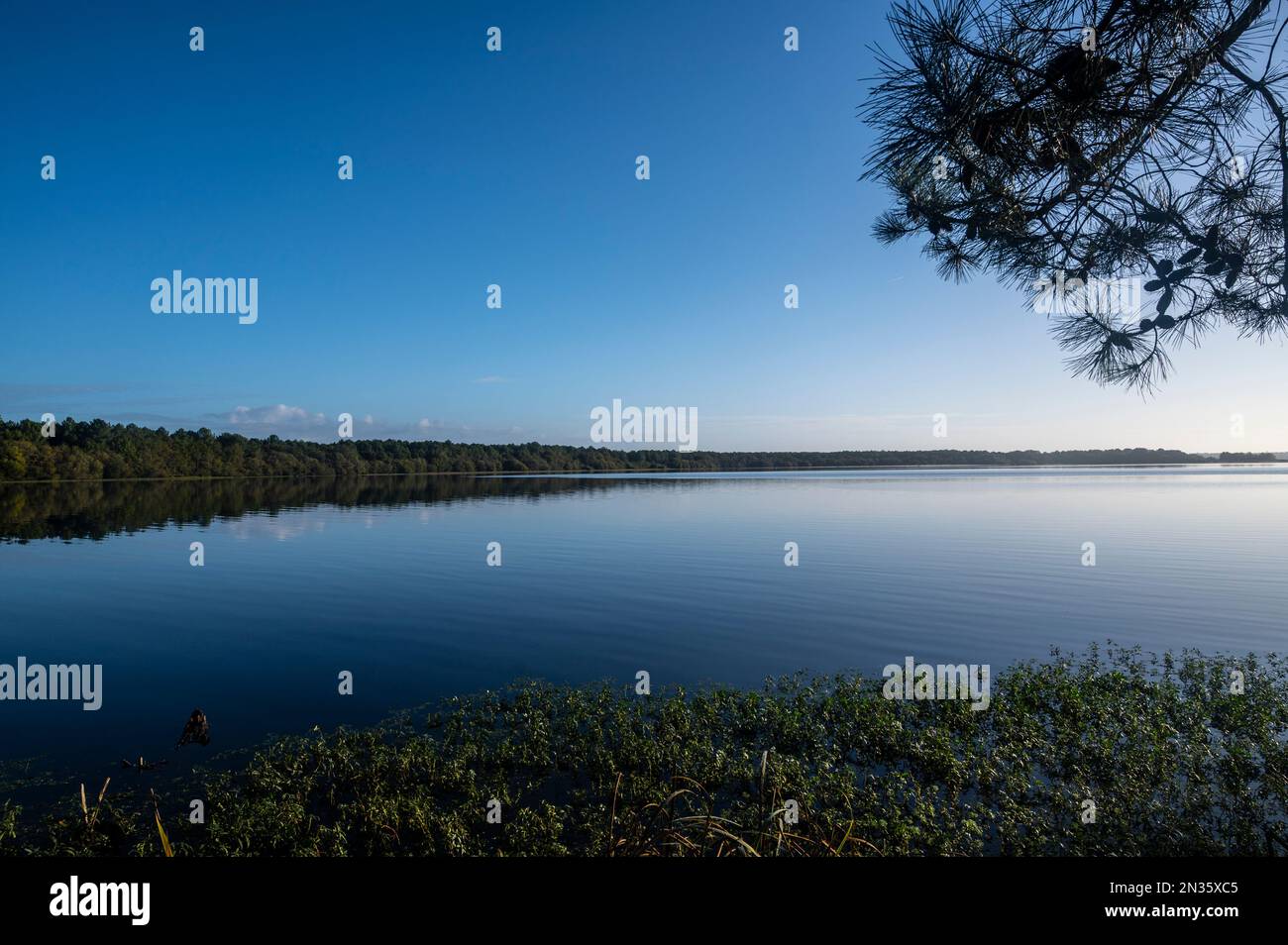 The coastal lake Lac de Mimizan in the Landes of Nouvelle-Aquitaine, France Stock Photo