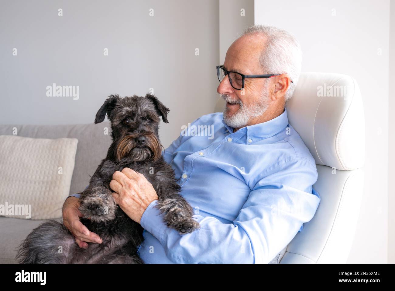 Happy Grandpa Is Sitting At Chair In Home With Dog Jack Russell Terrier happy-grandpa-is-sitting-at-chair-in-home-with-dog-jack-russell-terrier