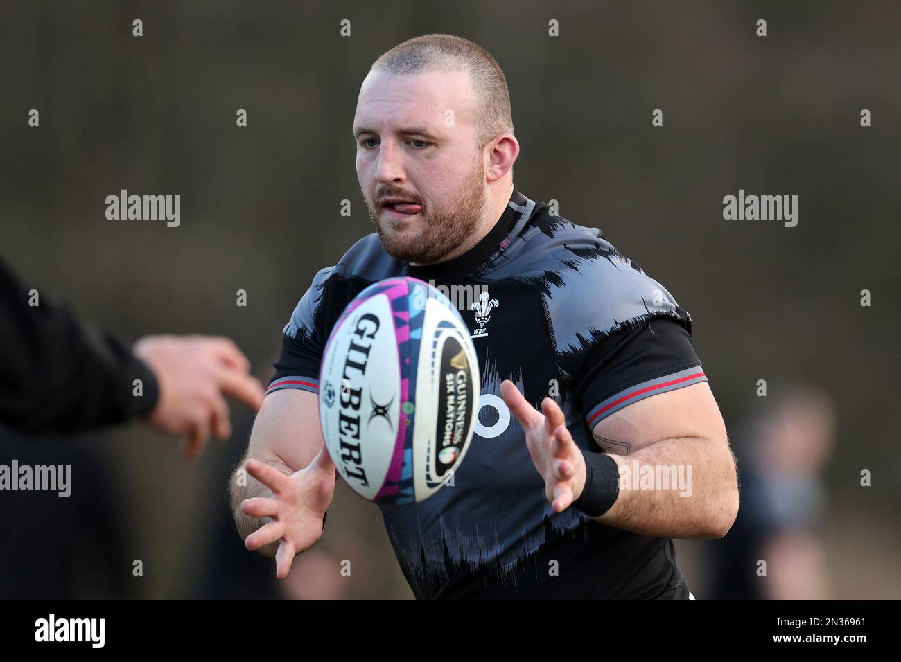 Guinness six nations rugby 2023 hi-res stock photography and images - Alamy