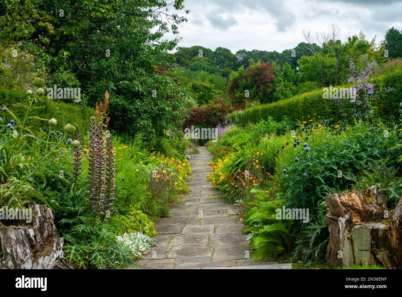 Beautiful garden in a riot of colour during summer, vibrant greens, reds, yellows, and blues. With a pathway running through the middle. Stock Photo