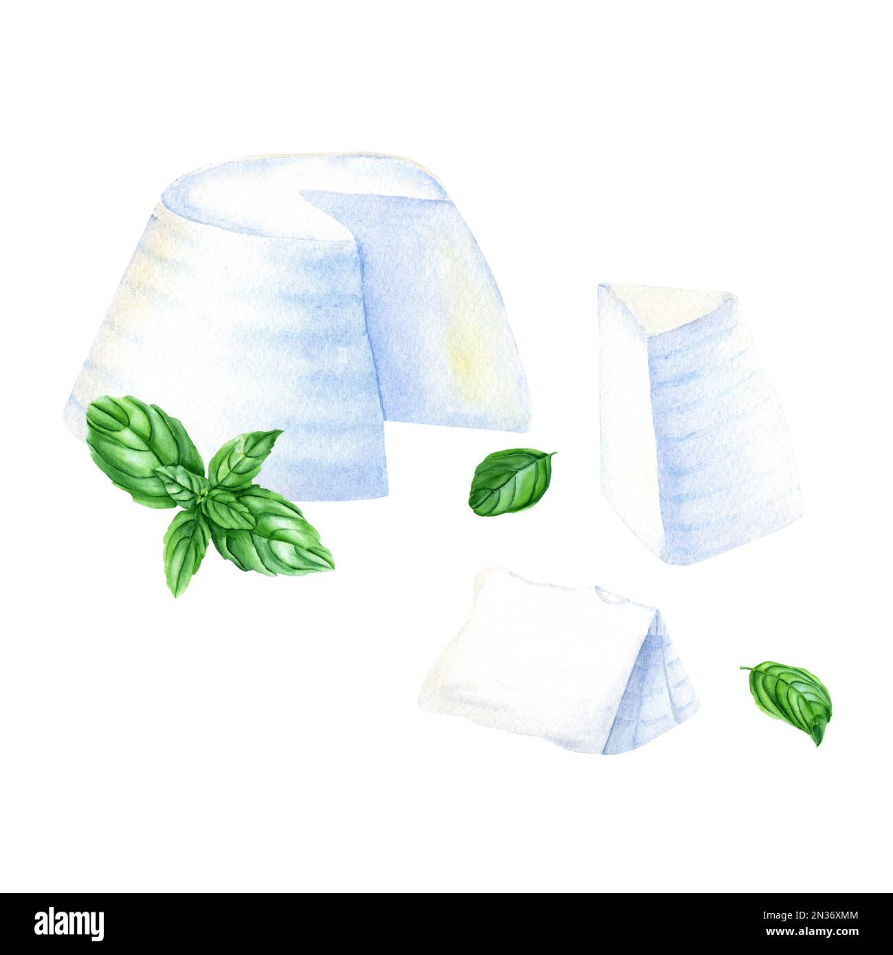 Ricotta an Italian whey cheese with basil herb. Watercolor illustration
