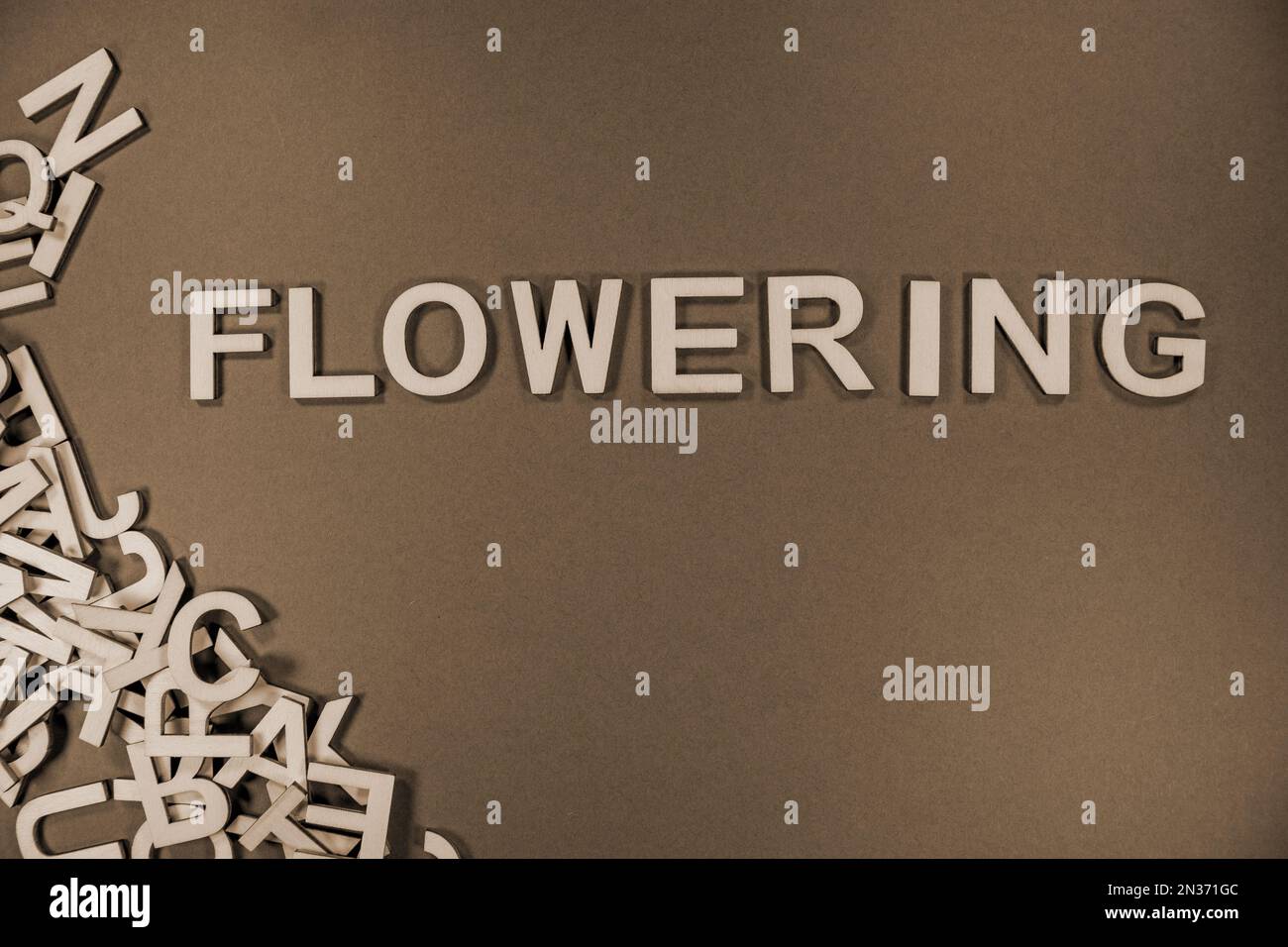 FLOWERING in wooden English language capital letters spilling from a ...