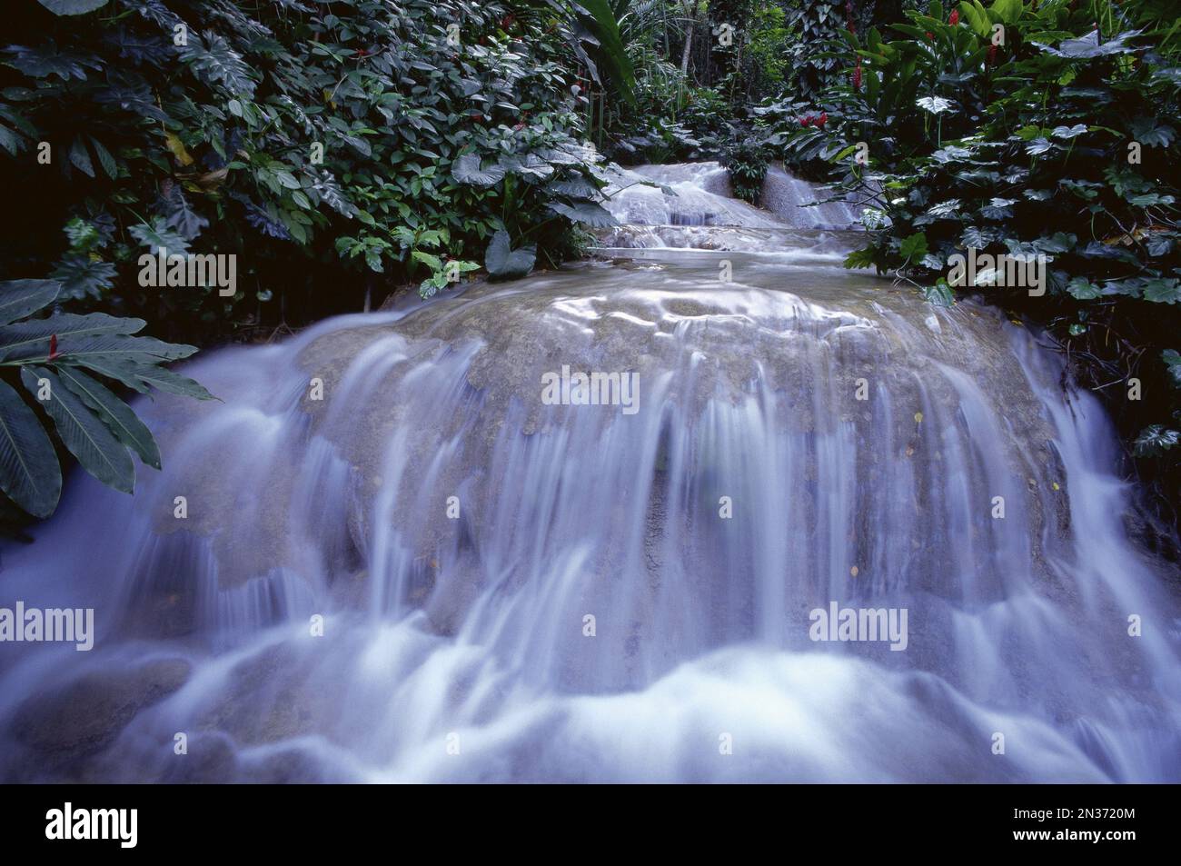 Waterfalls, Ocho Rios, Jamaica, West Indies Stock Photo Alamy