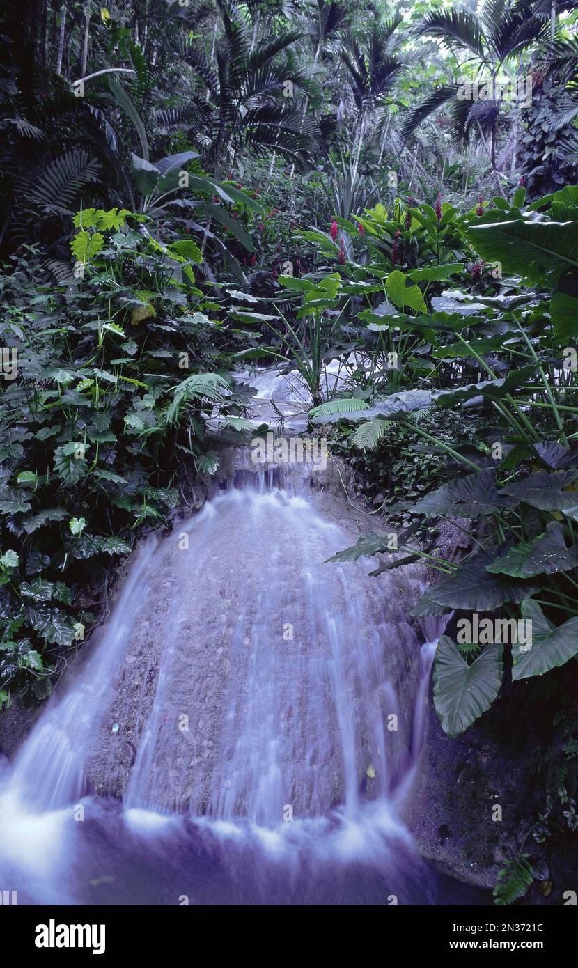 Waterfalls, Ocho Rios, Jamaica, West Indies Stock Photo Alamy