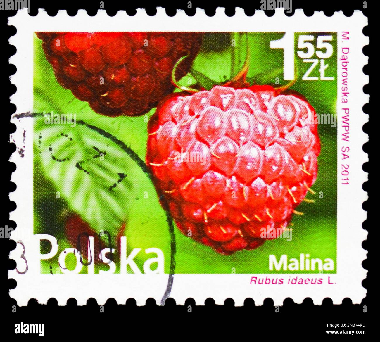 MOSCOW, RUSSIA - FEBRUARY 4, 2023: Postage stamp printed in Poland shows Raspberry (Rubus idaeus), Flowers and Fruits 2011 serie, circa 2011 Stock Photo