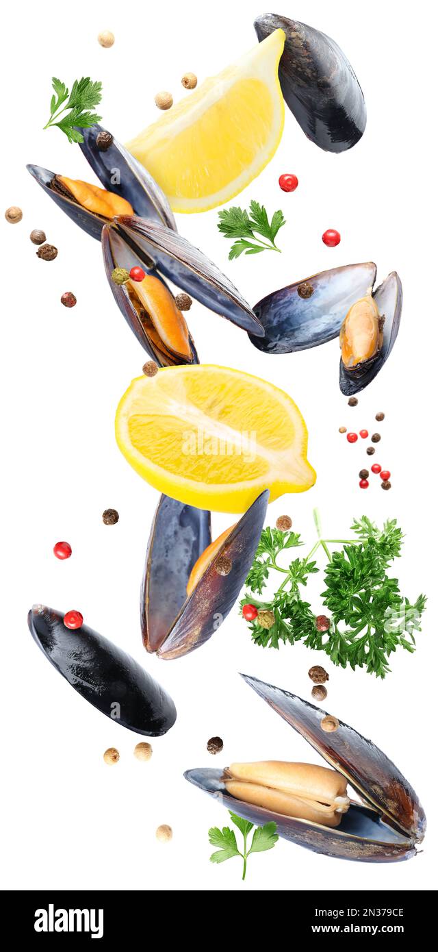 Flying mussels, lemons and spices on white background Stock Photo Alamy