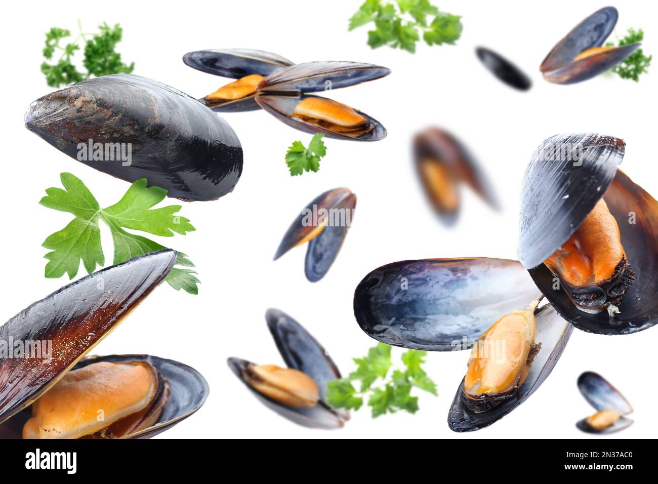 Flying mussels and parsley on white background Stock Photo Alamy