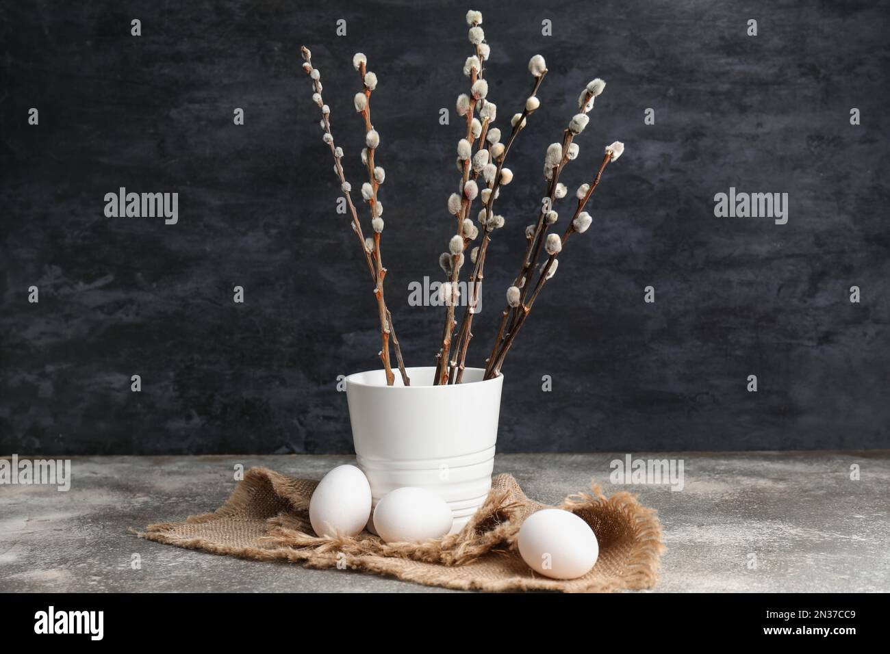 Vase with pussy willow branches on black grunge background Stock Photo -  Alamy