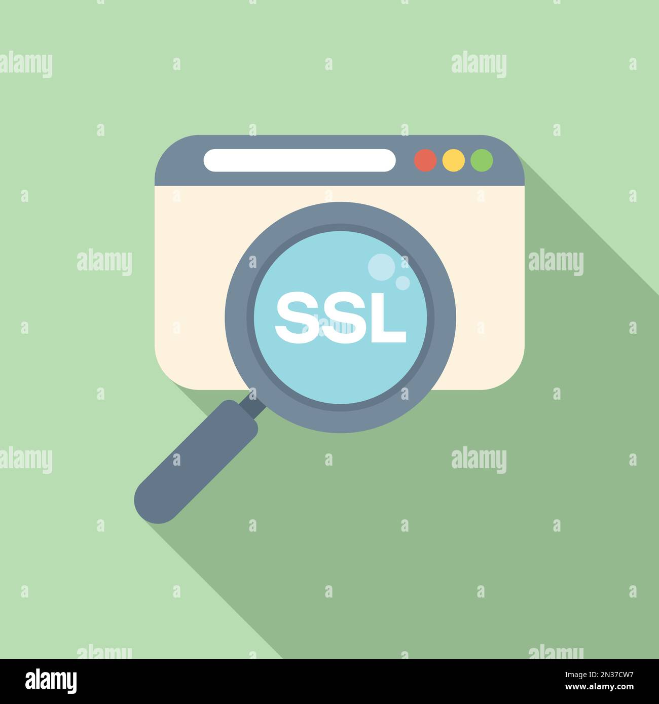 Search SSL certificate icon flat vector. Network security. Check payment Stock Vector