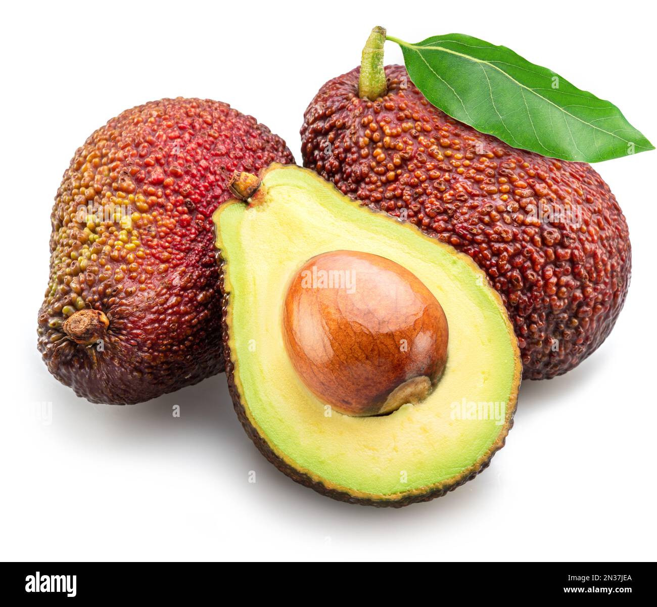 Hass avocado fruits with leaves isolated on white background Stock ...