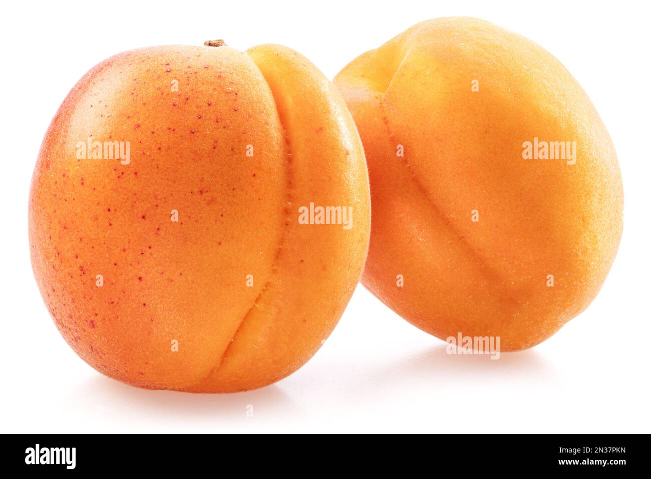 Two ripe apricots isolated on white background. Stock Photo