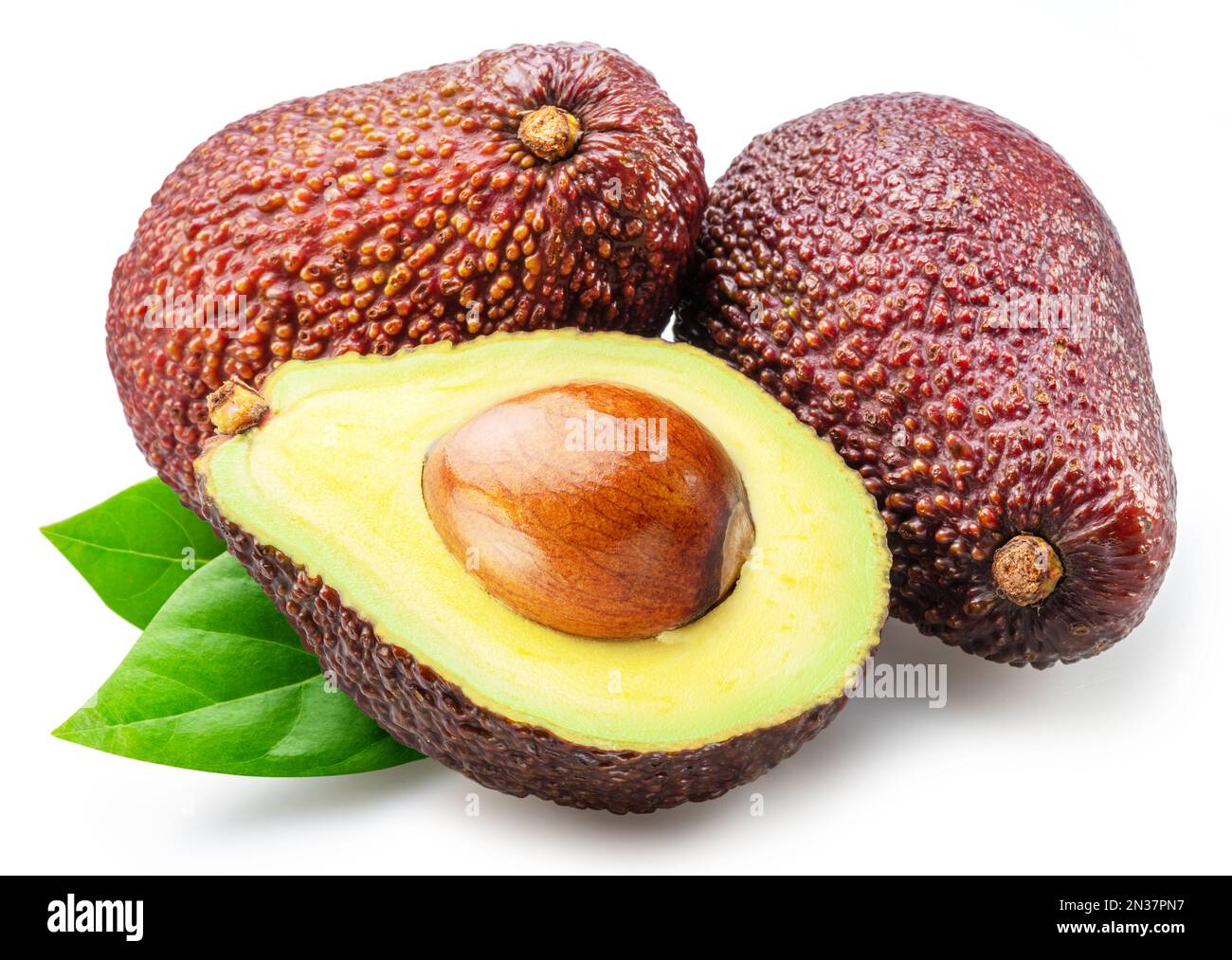 Hass avocado fruits with leaves isolated on white background Stock ...