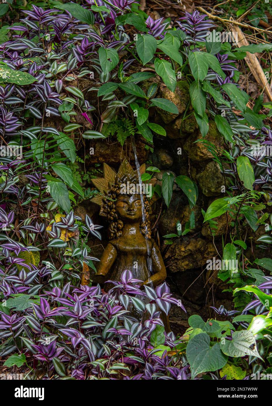 A vertical shot of a bronze statue hidden between Zebrina pendula plants and green leaves Stock Photo