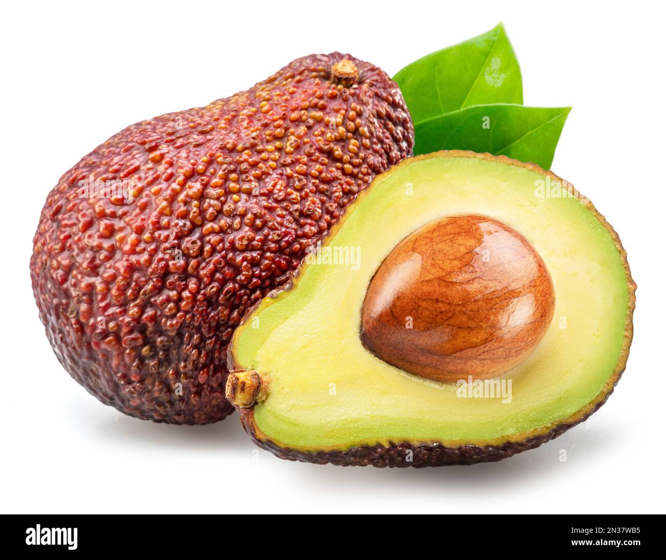 Open Mesh Bag with Fresh Hass Avocados Isolated on White Stock