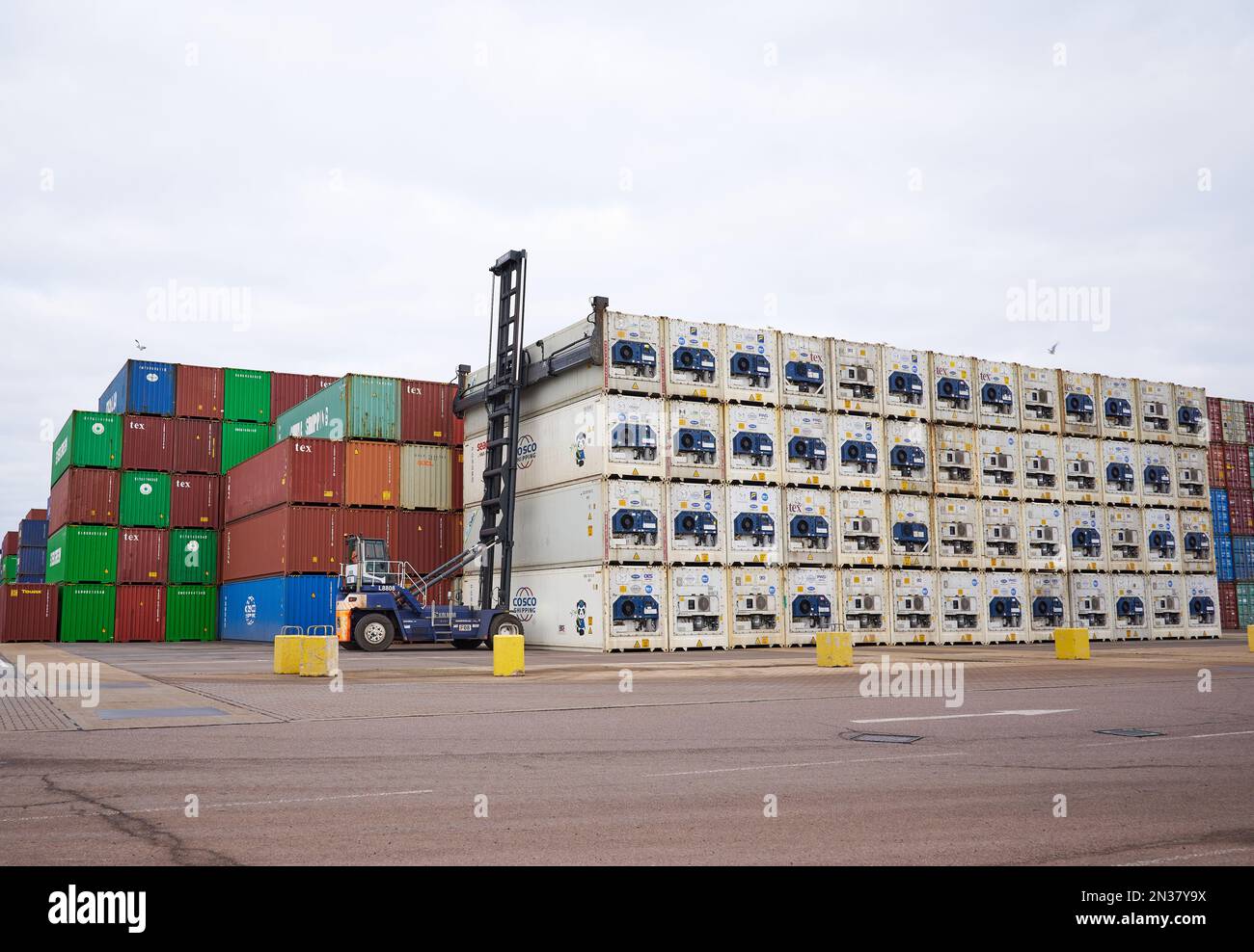 Shipping containers stored at Felixstowe Docks, Suffolk, UK Stock Photo