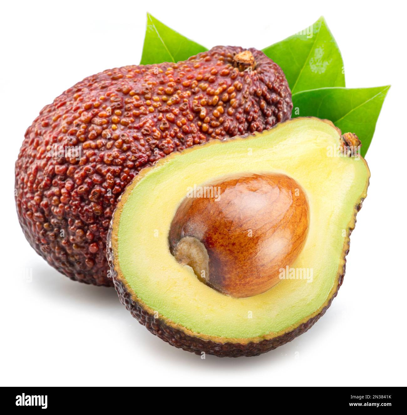 Hass avocado fruits with leaves isolated on white background Stock ...