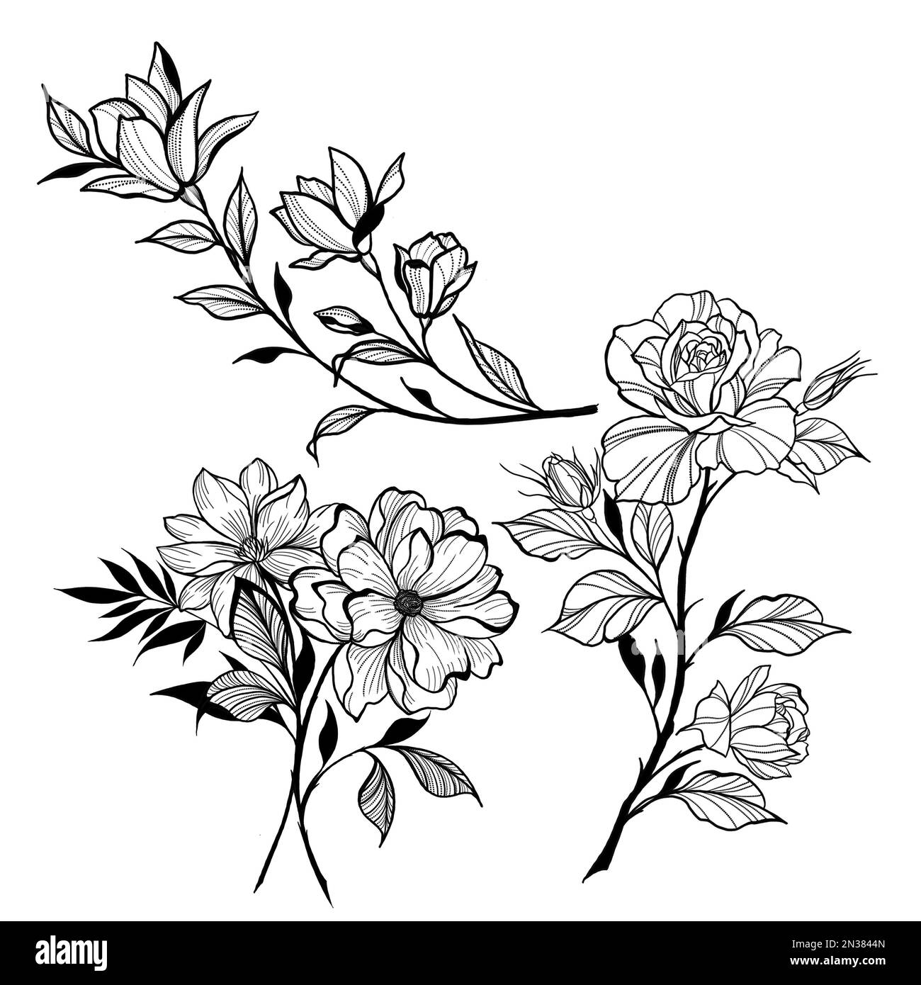 506,420 Outline Flower Draw Images, Stock Photos & Vectors | Shutterstock
