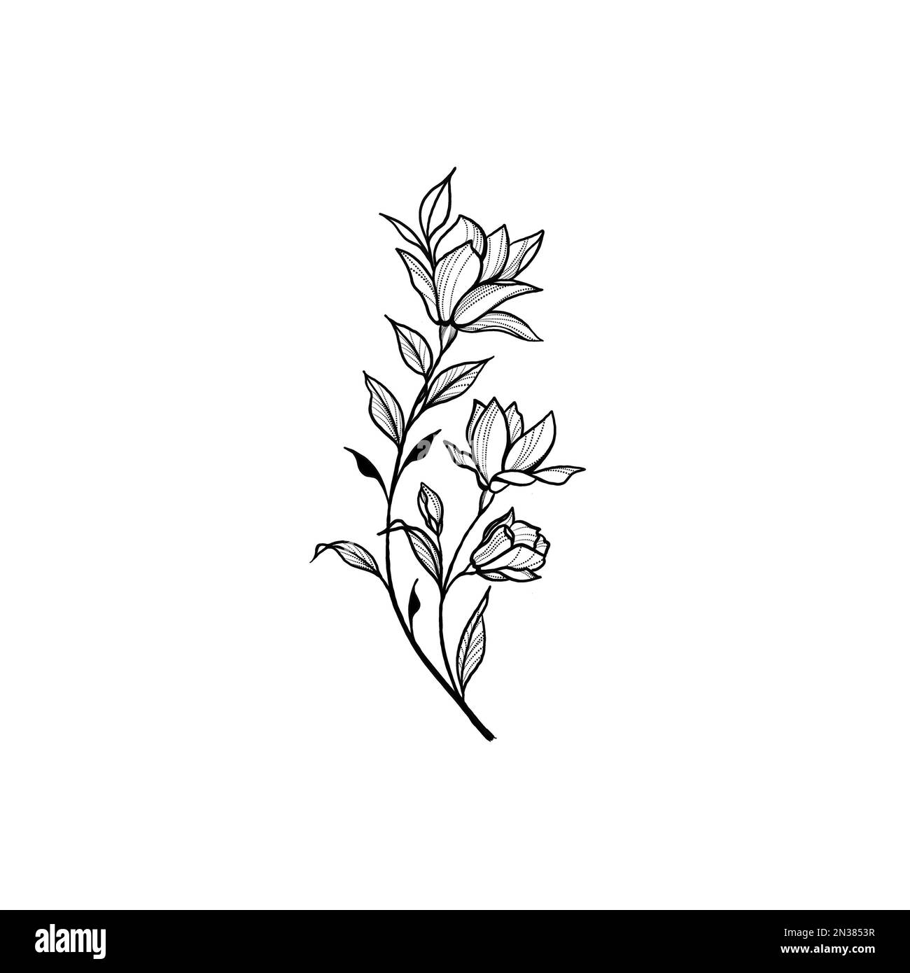 Beautiful sketch of a tattoo - a delicate twig with flowers . Flowers Periwinkle. Hand drawing. Outline. On a white background Stock Photo