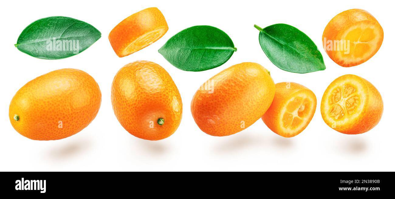 Kumquat fruit and cross cuts of kumquat flying in the air on white