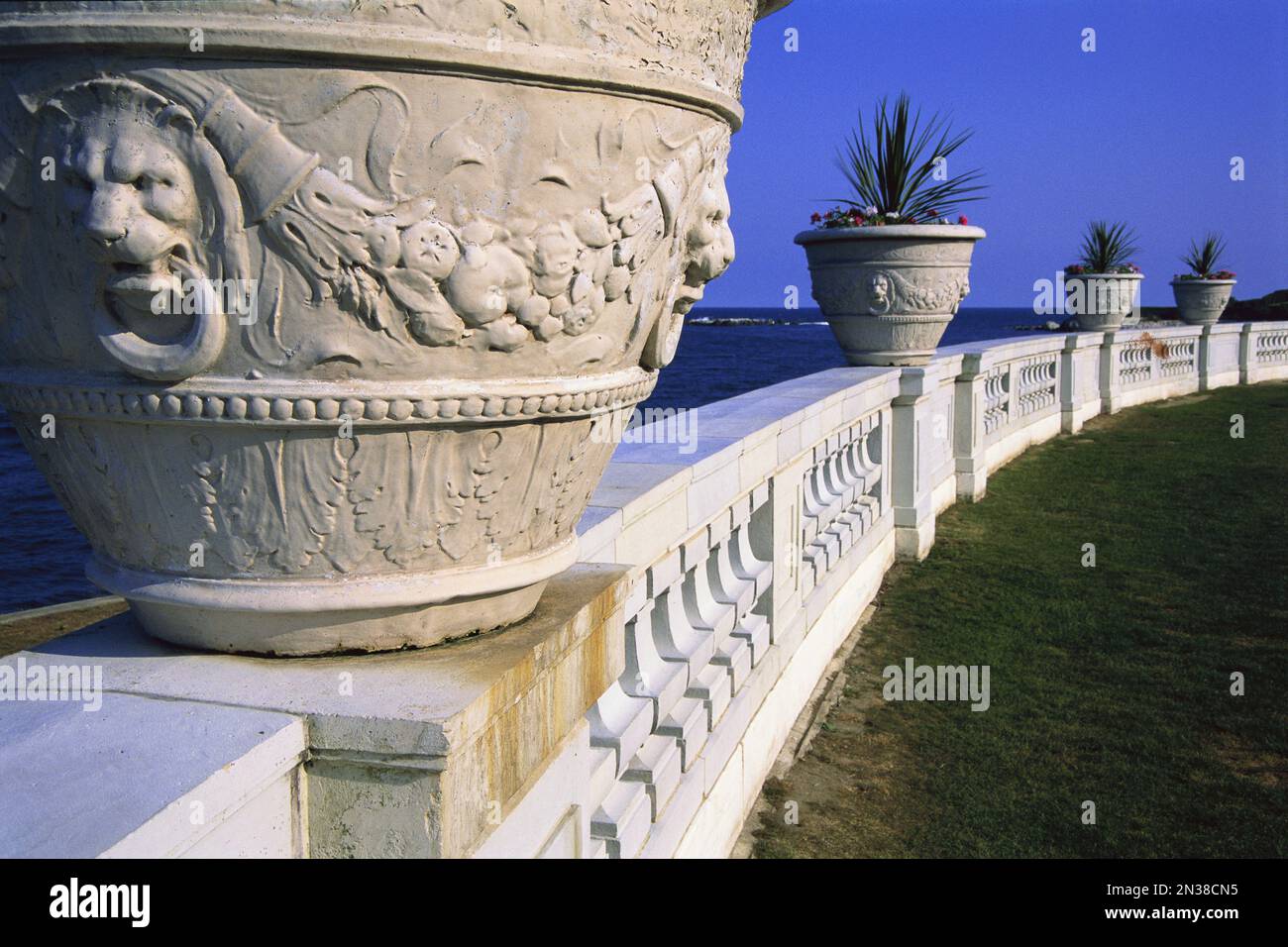 Potted Plants on Fence Stock Photo