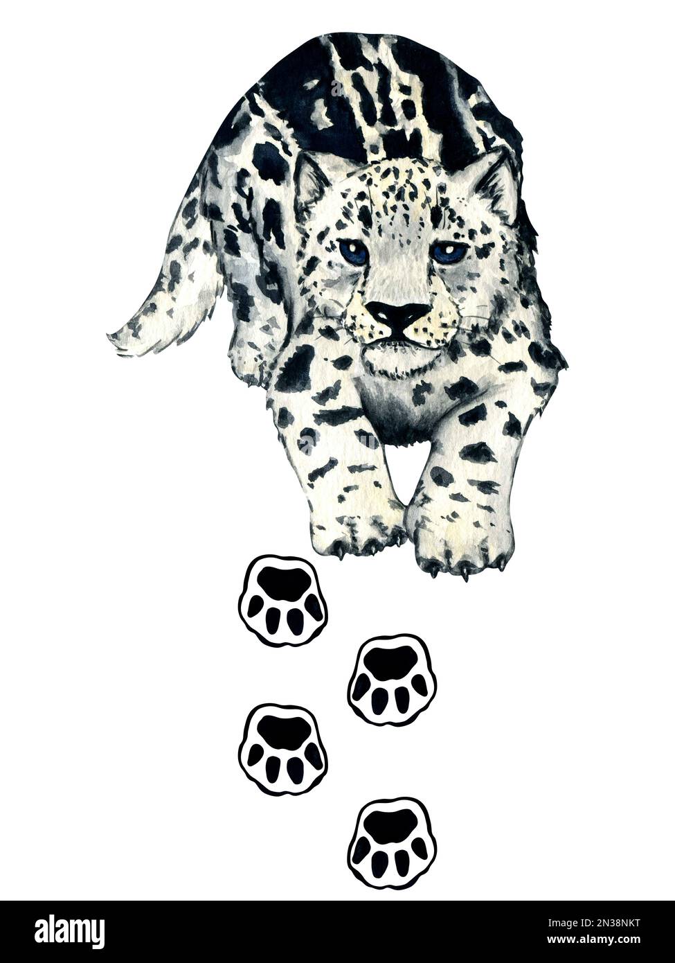 Watercolor wild forest animal footprints. Snow leopard kitten, irbis. Illustration for kids design Stock Photo