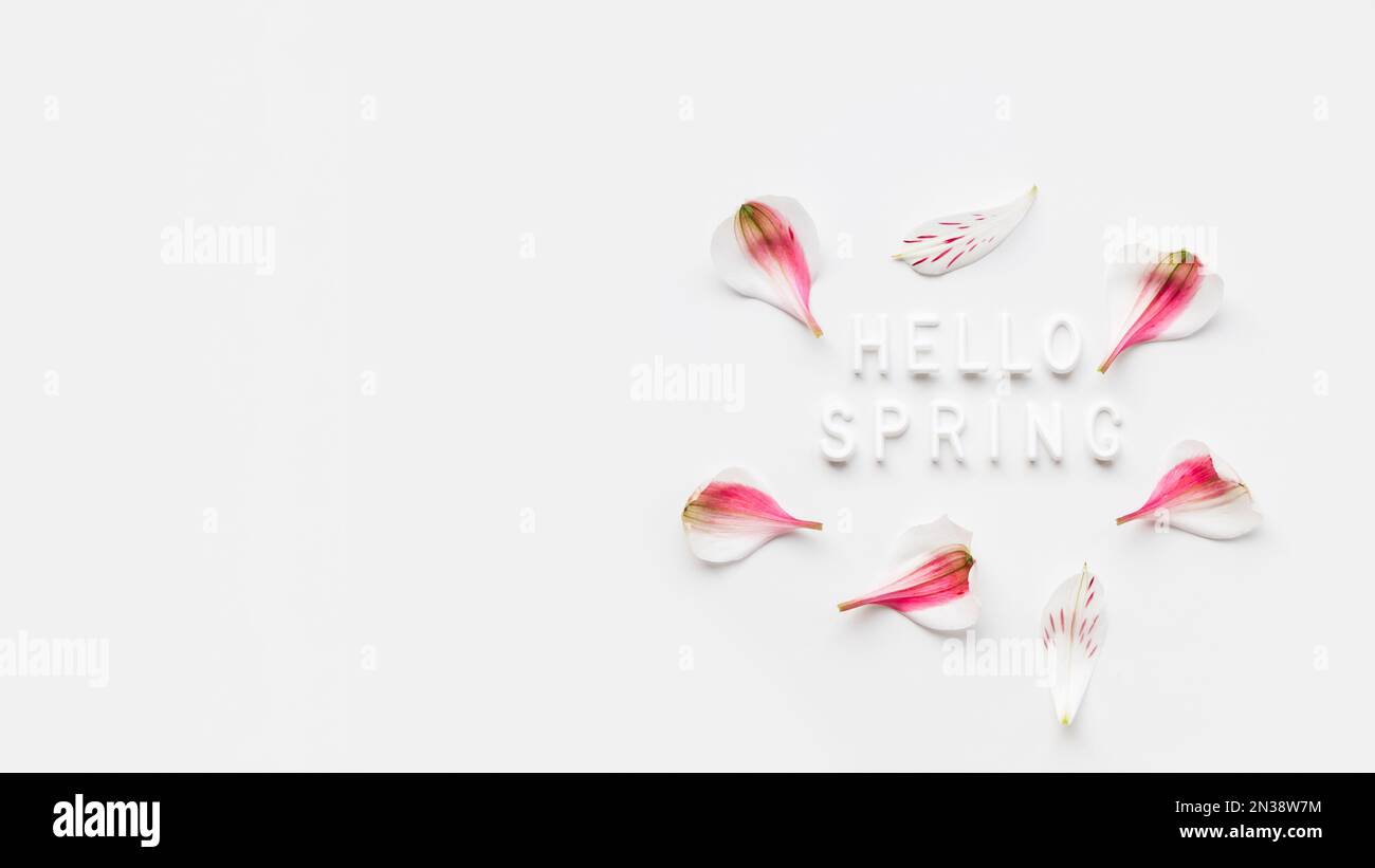 Top view on words HELLO SPRING with pink flower petals on white ...