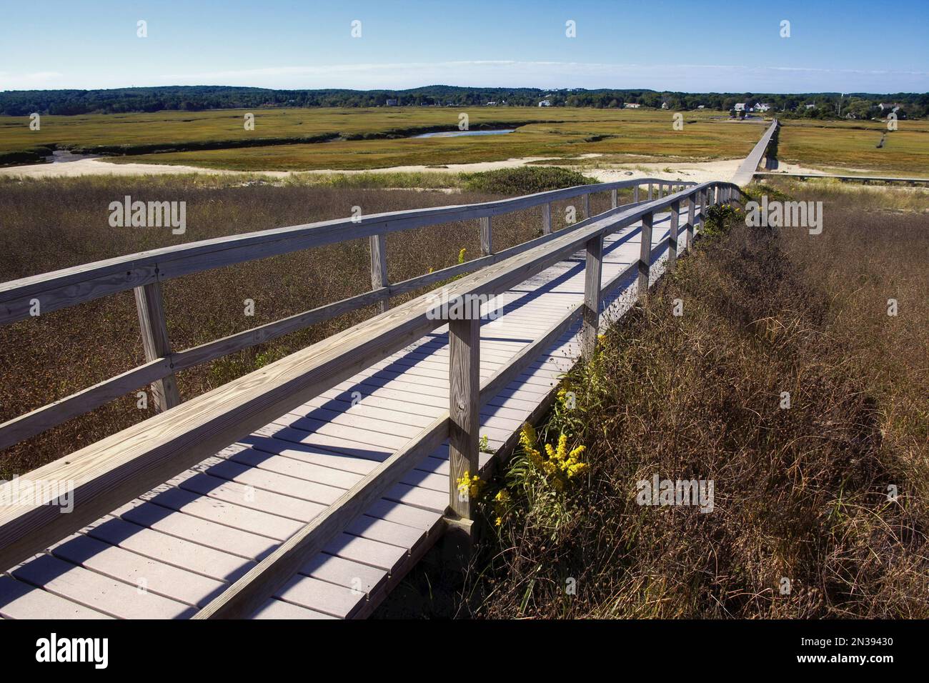 Sandwich Boardwalk, Sandwich, Cape Cod, Massachusetts, USA Stock Photo