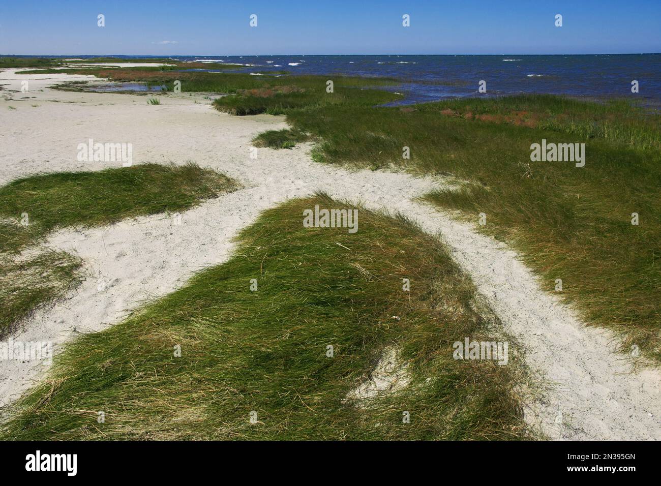 Beach at Rock Harbor, Orleans, Cape Cod, Massachusetts, USA Stock Photo