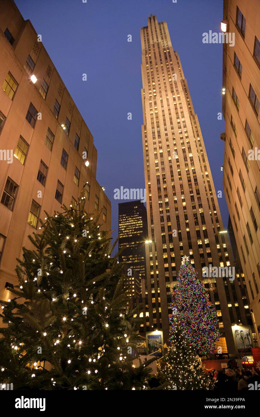 Christmas Tree at Rockefeller Center, New York City, New York, USA